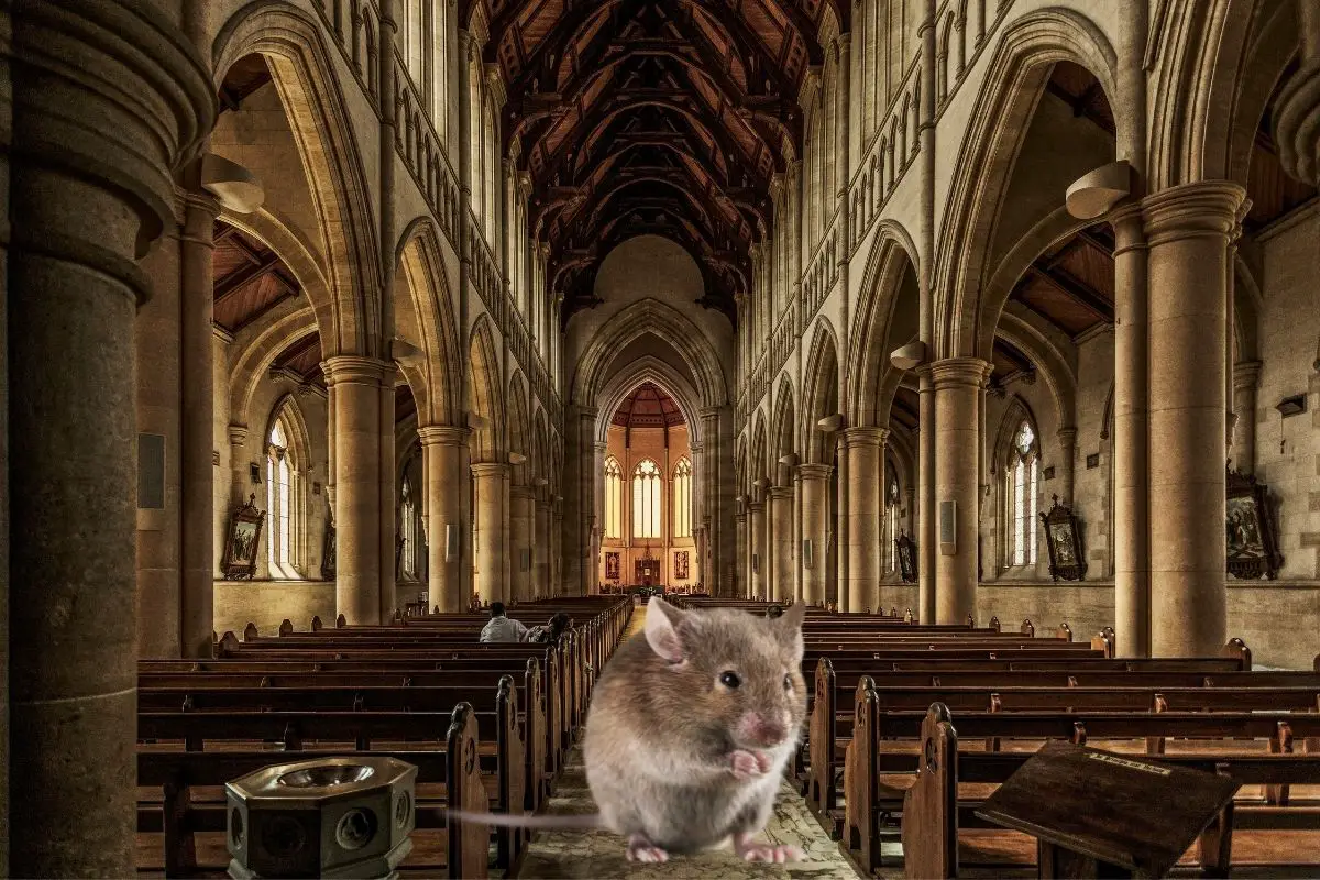 as quiet as a church mouse