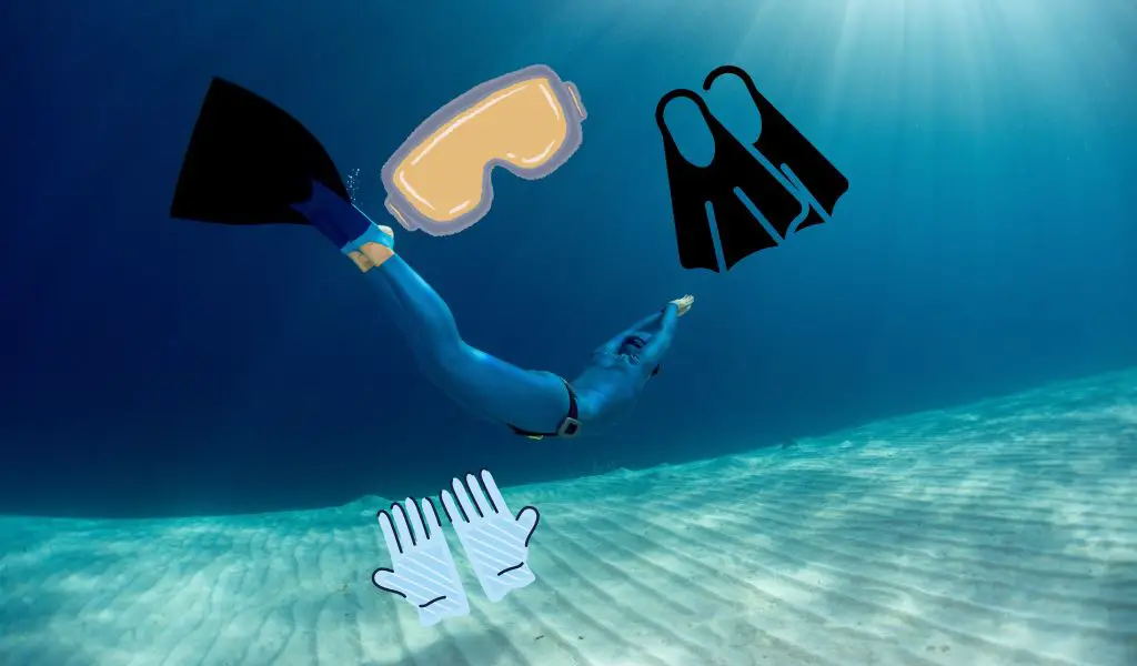 What is essential freediving equipment?