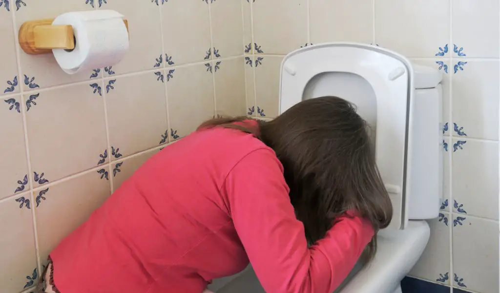 The Stealthy Spewer: A Humorous Guide to Throwing Up Quietly for Every Occasion