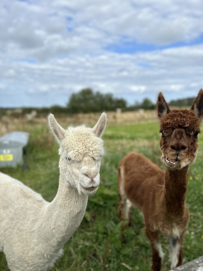 Northumberland Country Retreats