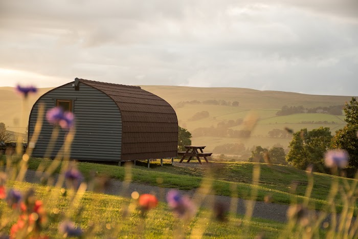 Wild Northumberland Glamping